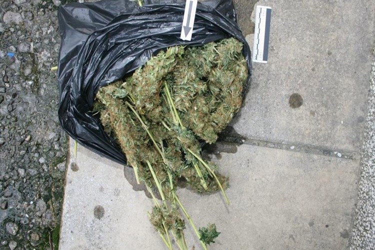 Slika Droga/droga-kozala (5).jpg